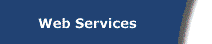 Web  Services link